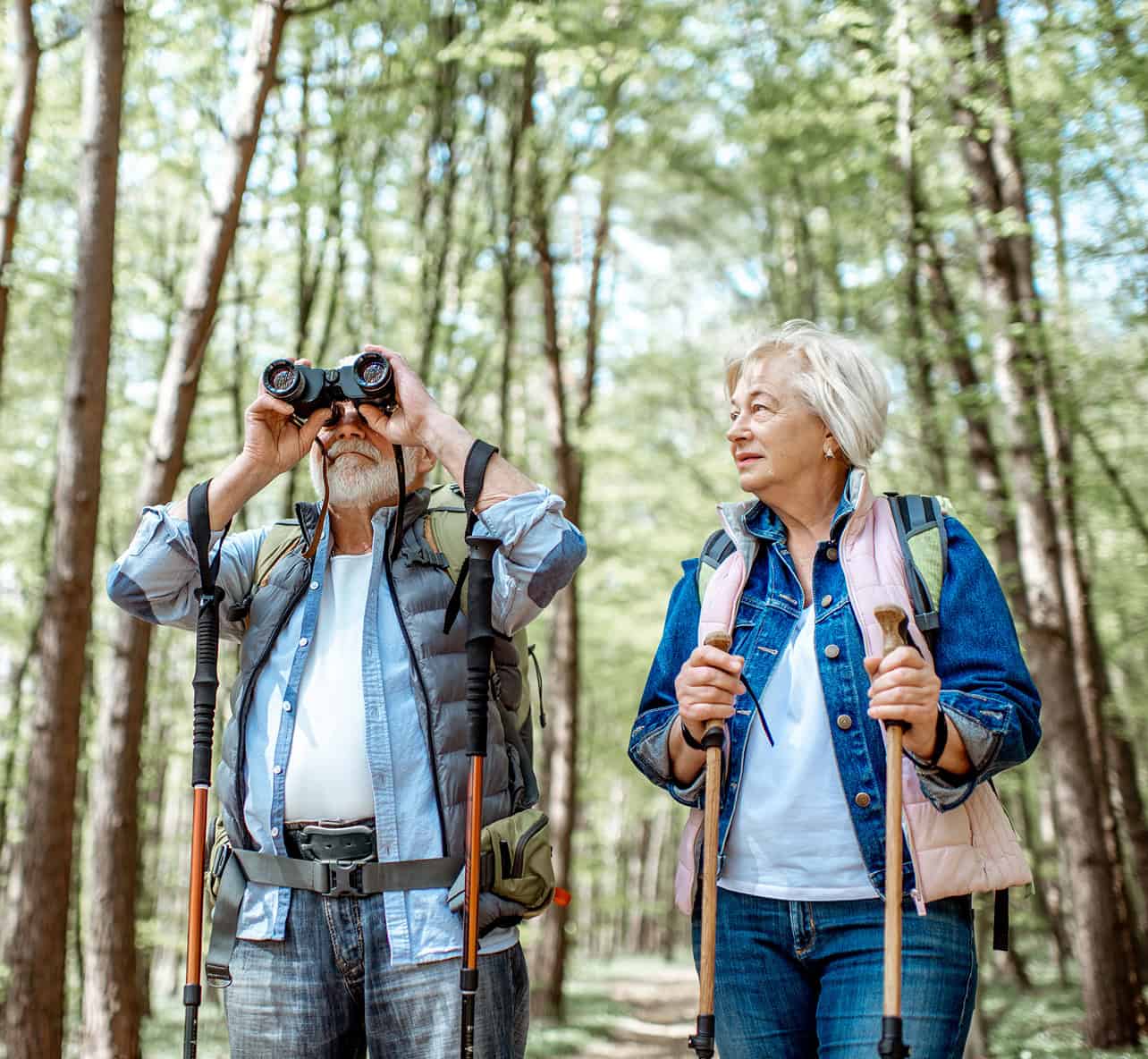 Wildlife Viewing