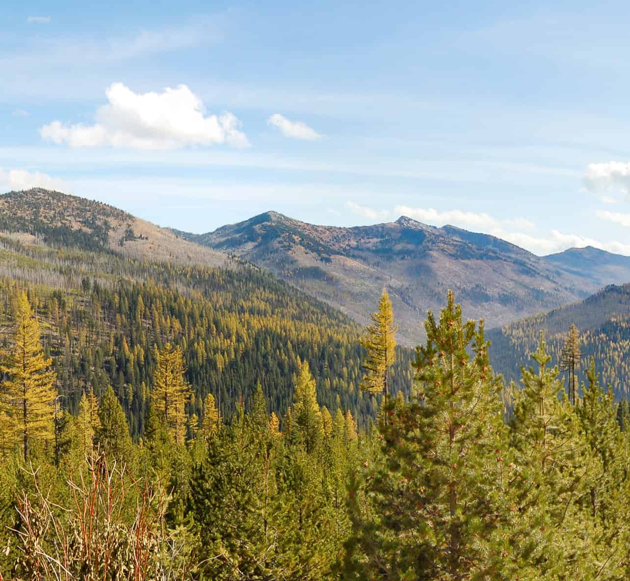 Elkhorn Scenic Byway