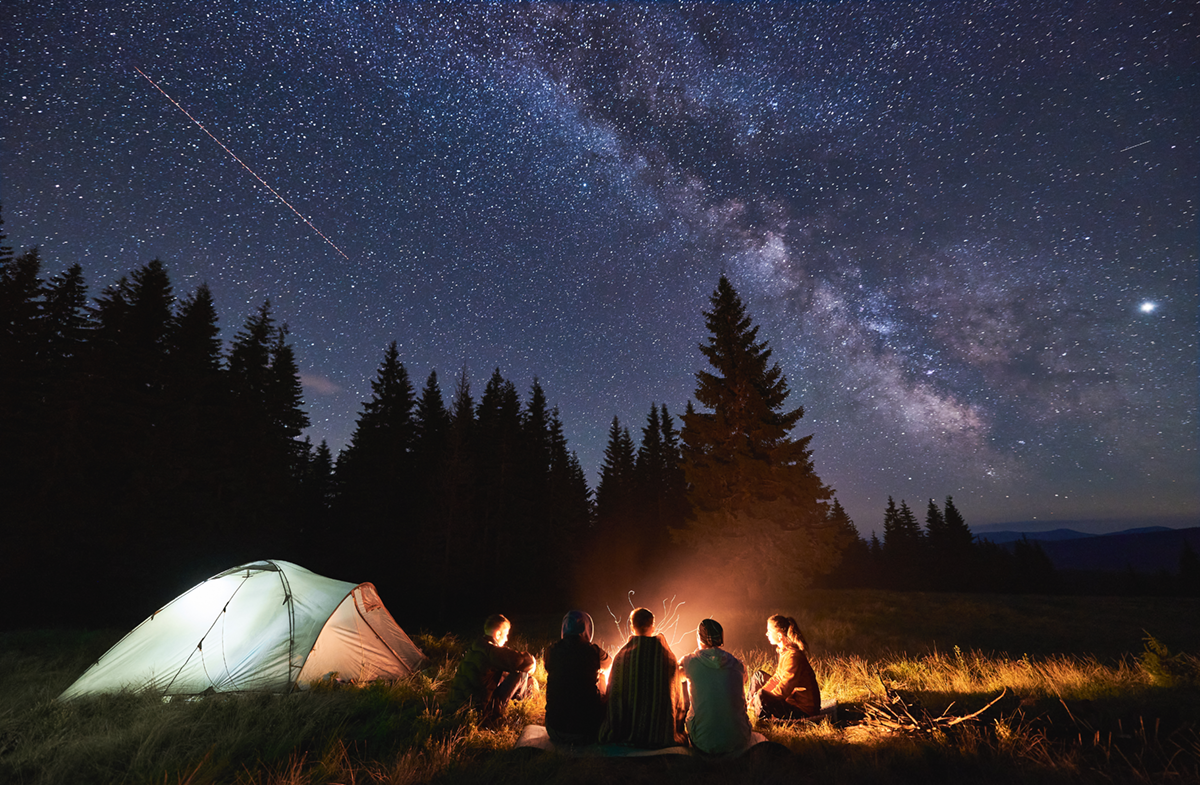Preventing Wildfires
