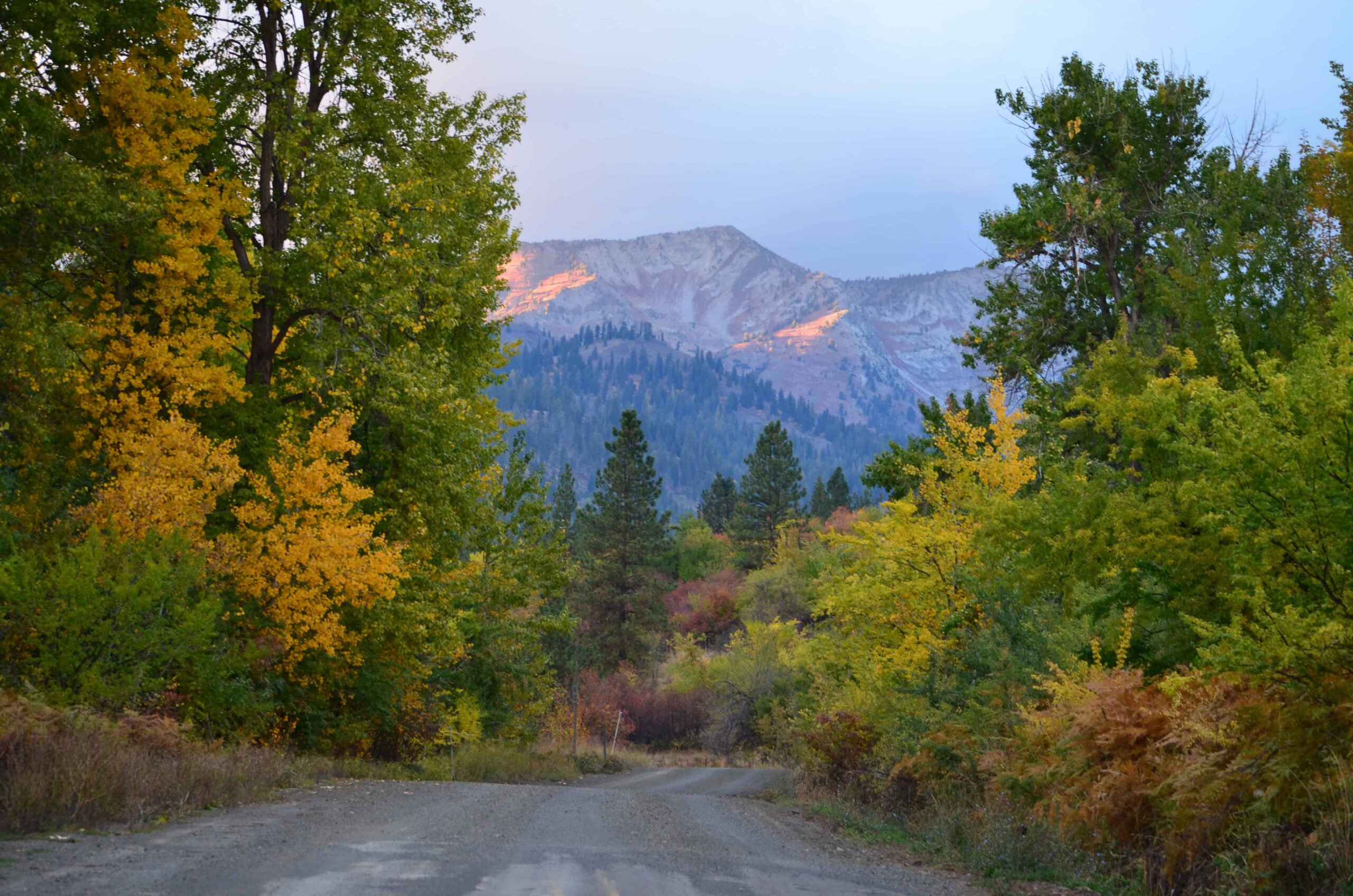Fall in Baker
